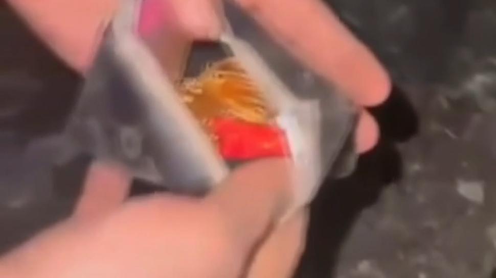 Çaldıkları altın dolu keseyi toprağa sakladılar