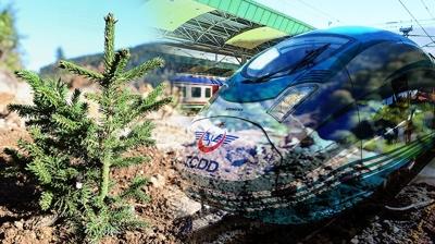 Her yolcu iin bir fidan protokol! ki bakanlk ibirliinde anlat