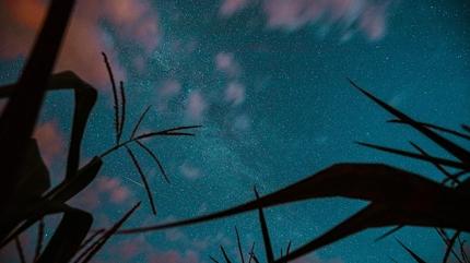 5 Kasm 2025 aramba gnlk bur yorumlar: Yengeleri i, Terazileri ak hayatnda haber bekliyor