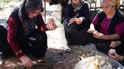 Japonlar, Adana'ya akn etti! Kilosu etle yaryor: Demir depolarn fullyor, kemikleri glendiriyor