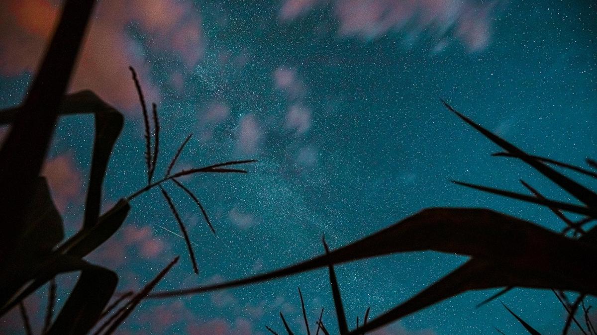 gnlk bur yorumlar 5 Kasm 2025 aramba yenge burcu terazi burcu fotoraflar resimleri