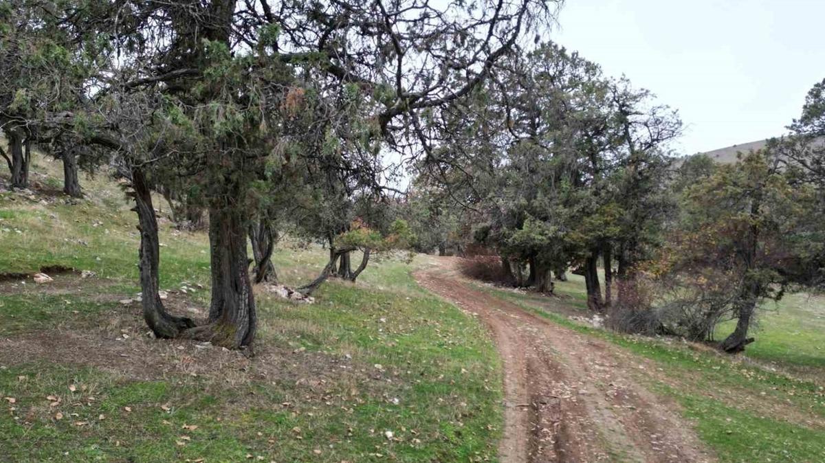 Tokat Gnal ky ehit mezarlar fotoraflar resimleri