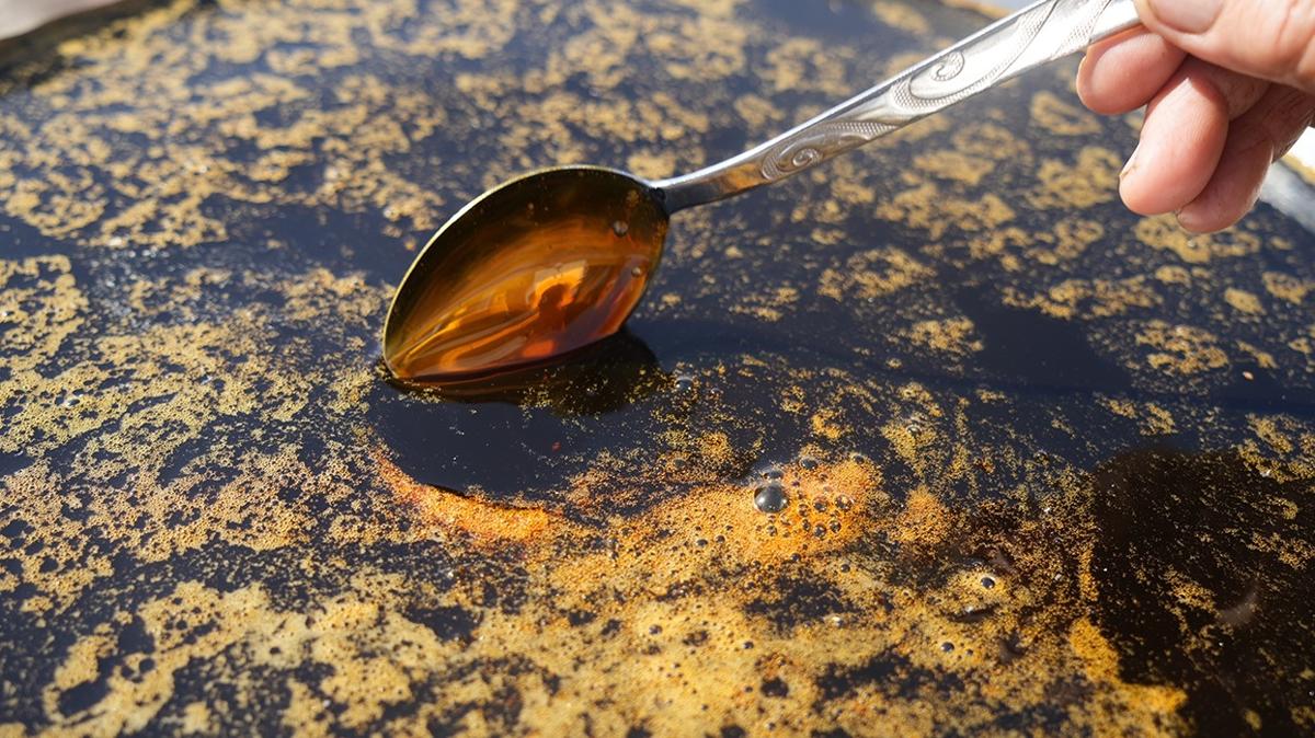 pekmez zencefil ksrk balgam doal ksrk ilac fotoraflar resimleri