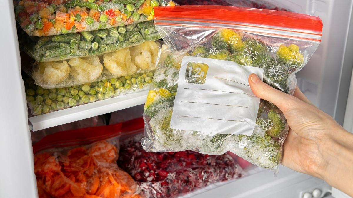 besin dondurucu salk fotoraflar resimleri