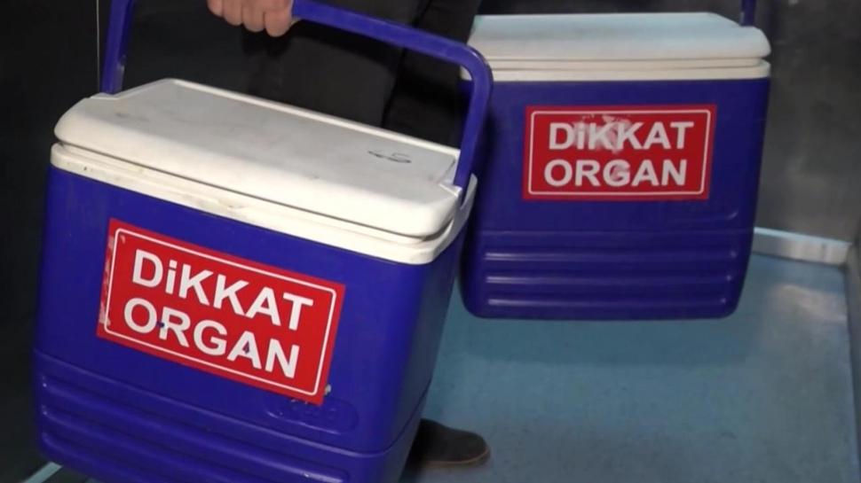 Türkiye'de yaklaşık 33 bin hastanın umudu organ nakli