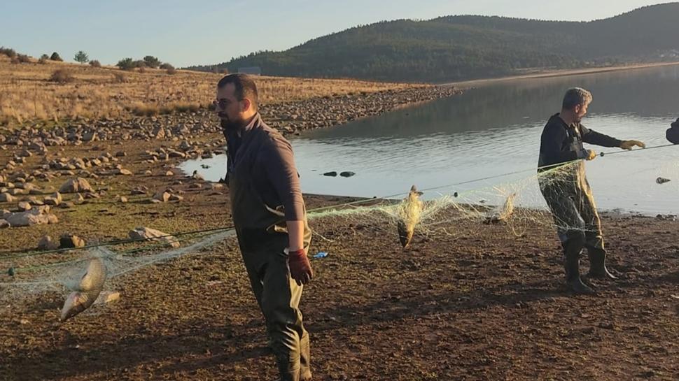 Bolu'da kaçak avcılardan doğa katliamı... 500 balık ağdan kurtarıldı