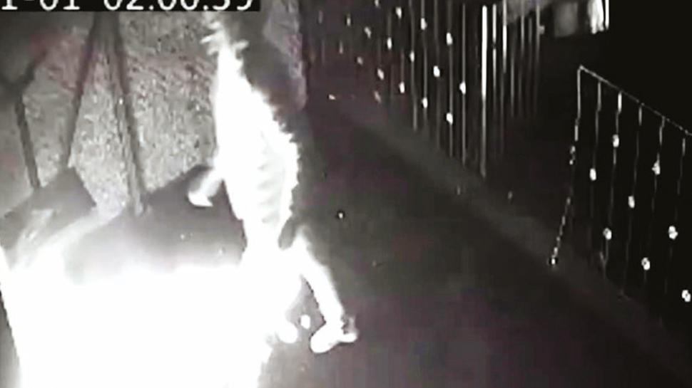 Cesur esnafa intikam atei