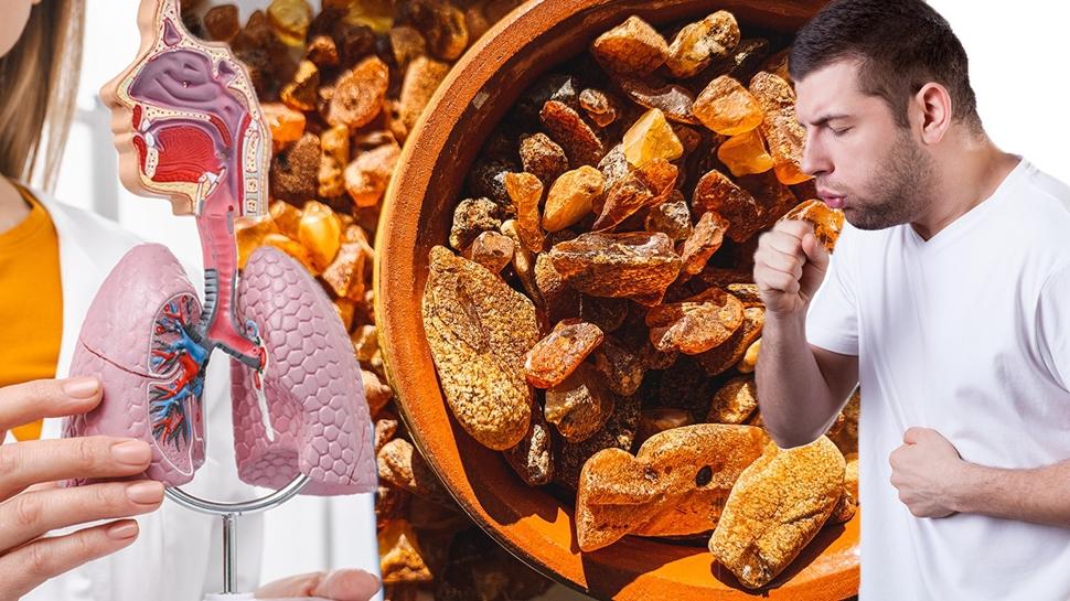 İbn-i Sina'nın asırlık akciğer reçetesi: Kuru üzümü böyle kullanın, meğer öksürüğü kesiyormuş