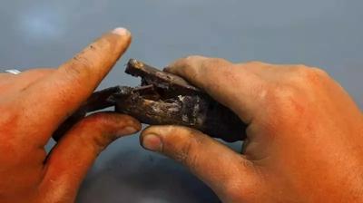 Tarihi Trk haneri! Pasn altndan kan detaylar byledi