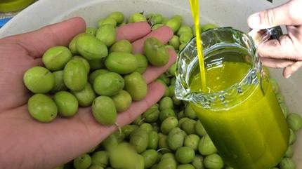 Aydn'n doal eker ilac: Dalndan kopar yan kar 1 kak i! Kan ekerini terazi gibi dengeliyor