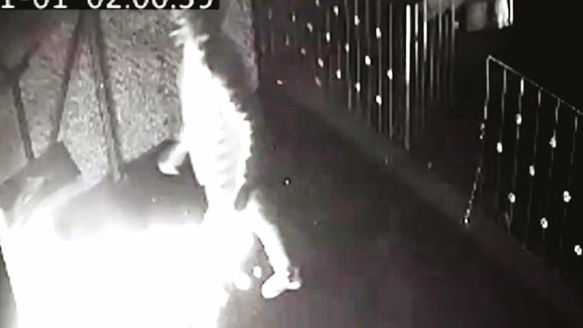 Kathane Engin T. Mertcan A. fotoraflar resimleri