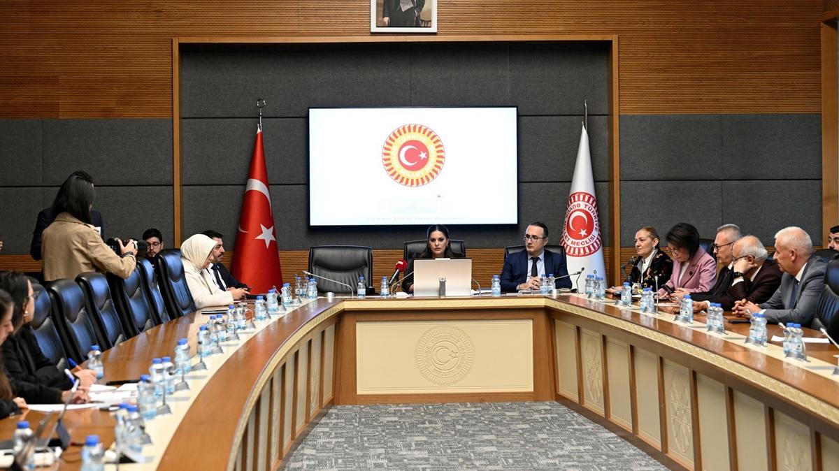 tbmm birey engelli  fotoraflar resimleri