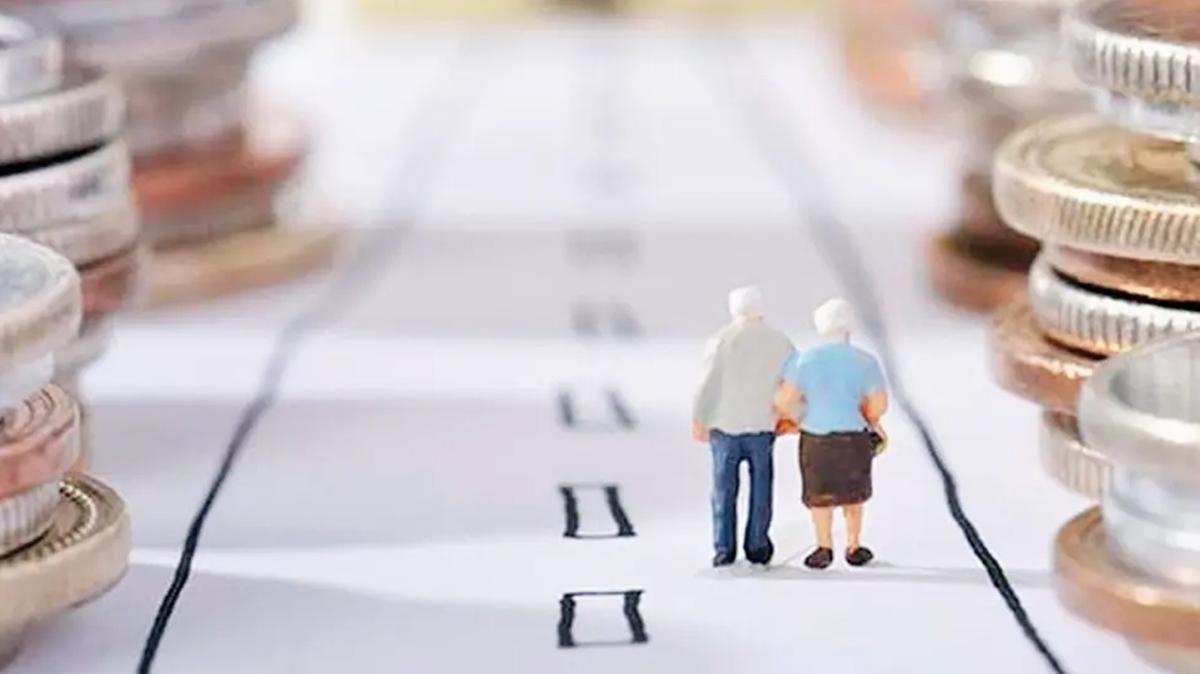 Tamamlayc Emeklilik Kesinti veren Katks Devlet Destek fotoraflar resimleri