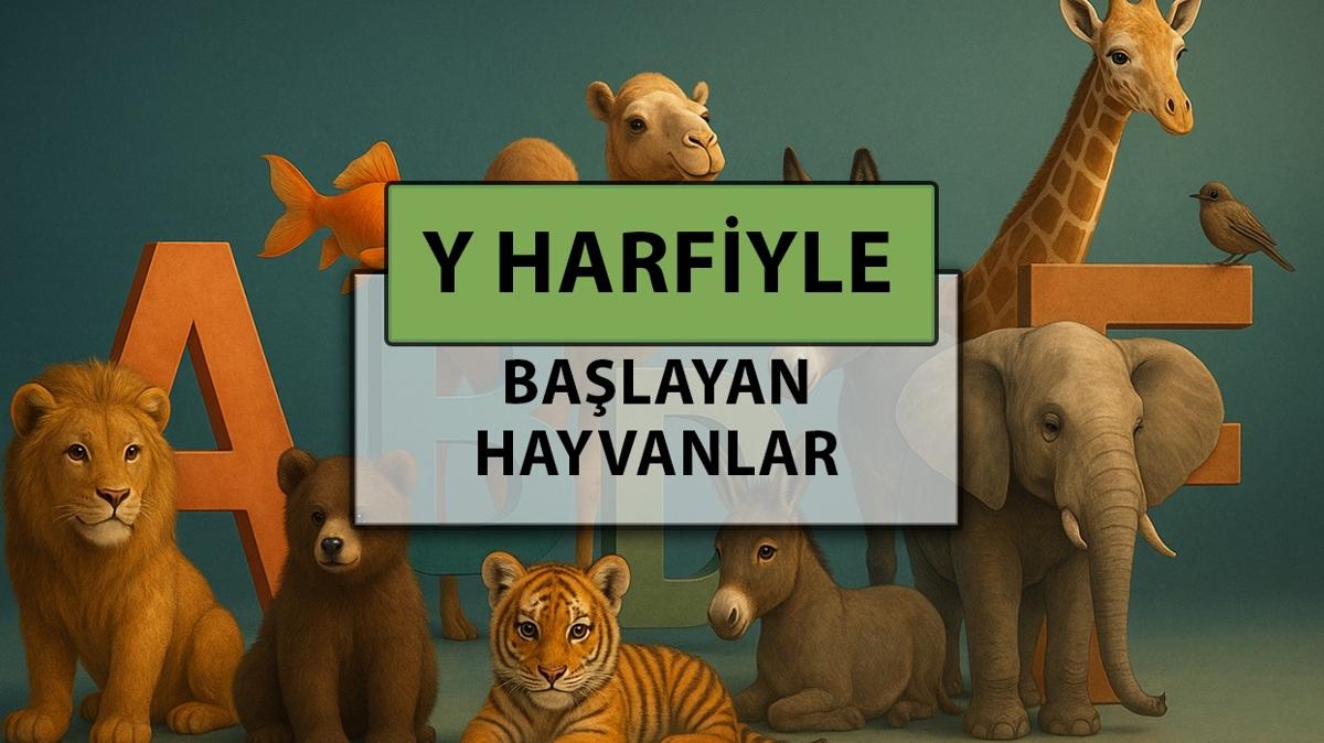 y harfiyle balayan hayvan isimleri y harfiyle balayan hayvan isimleri ve anlamlar hayvan isimleri fotoraflar resimleri