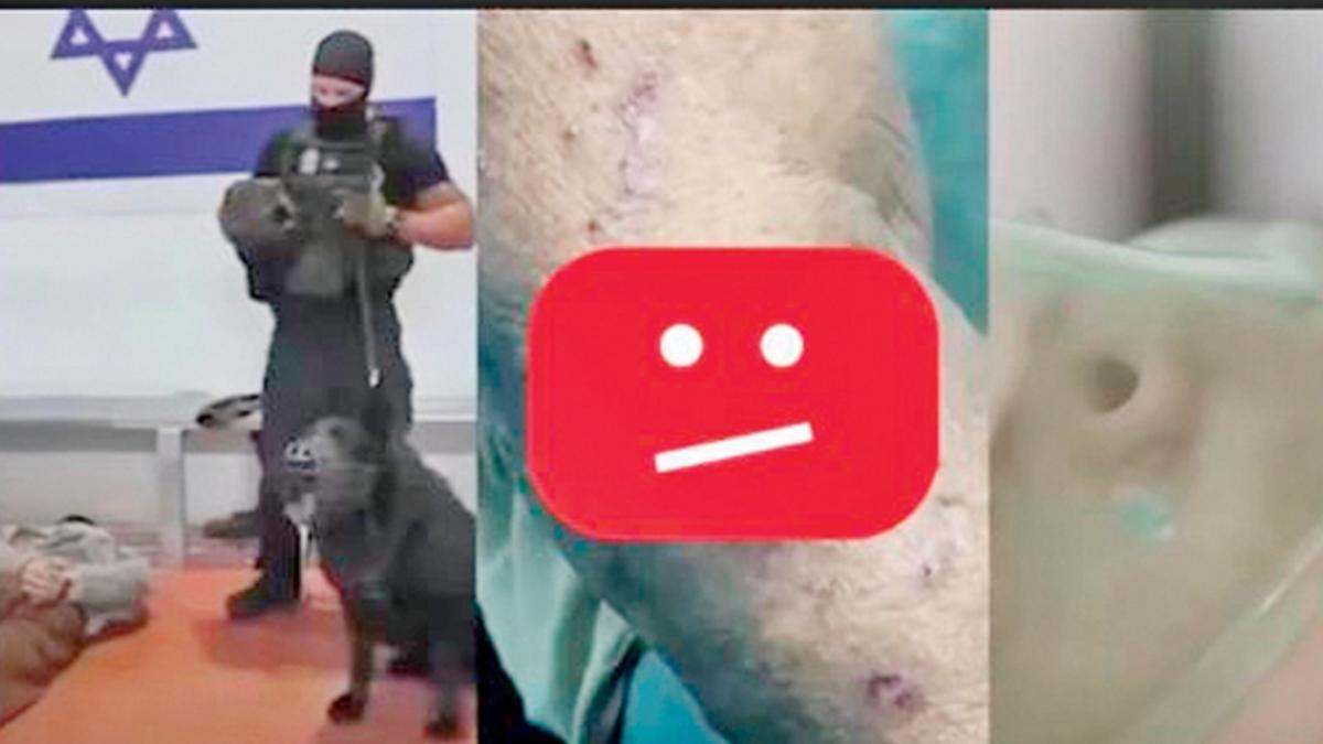 ABD hkmeti  srail  Gazze  sava sular  YouTube silme  Filistin ierikleri  kullanc hesaplar fotoraflar resimleri