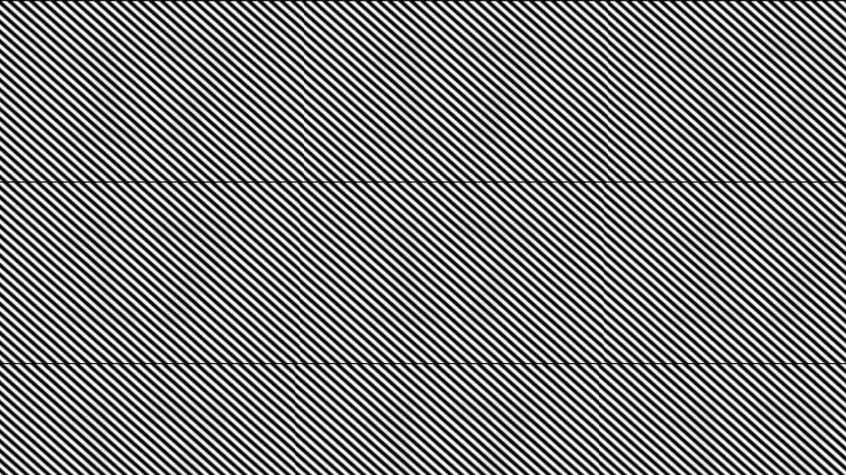 zeka testi zeka ka tane 17 var fotoraflar resimleri