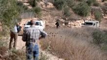 Soykrmc srail zeytin toplayan Filistinlilere saldrlar dzenliyor