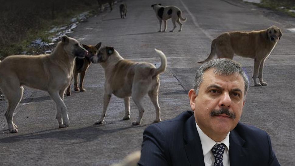 Erzurum'da sokaklar artık daha güvenli! Dadaş diyarı başardı