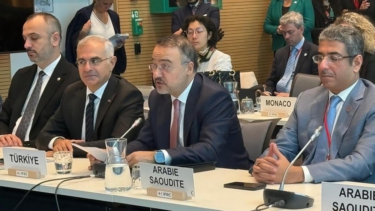 dileri bakan yardmcs nuh ylmaz cenevre ifrc jagan chapagain dref uluslararas kzlha ve kzlay dernekleri federasyonu afet mdahale acil durum fonu taahht konferans fotoraflar resimleri