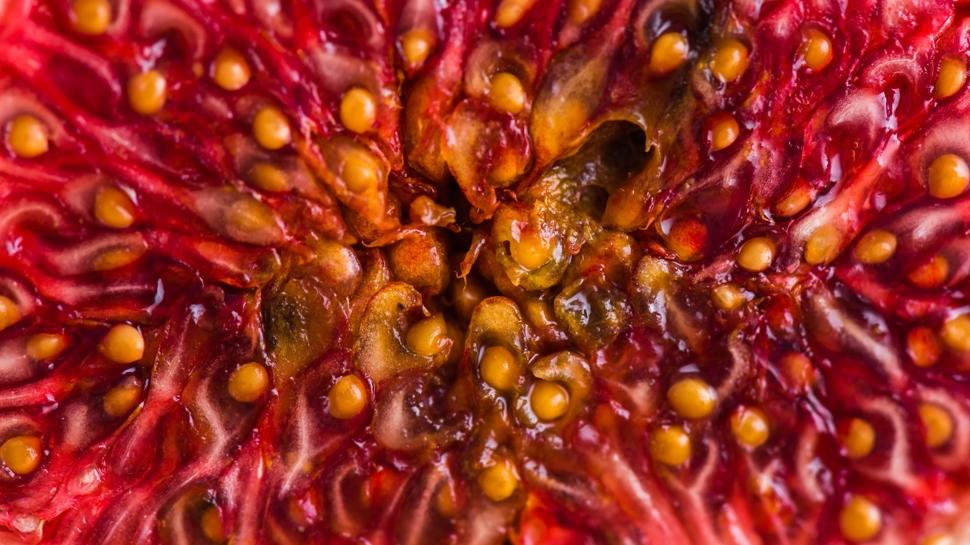 Sivilceyi kurutuyor, öksürüğü kesiyor, kabızlığı geçiriyor: Bu meyvenin kabuğunu çöpe atmayın