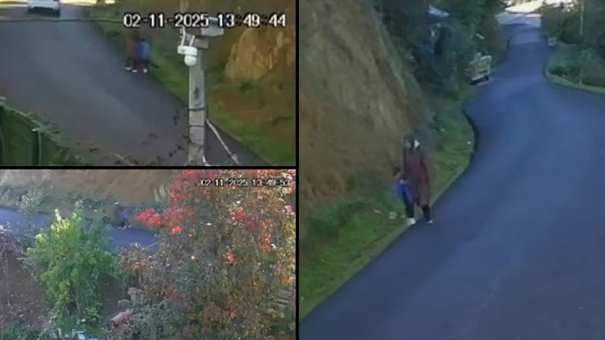 kastamonu bozkurt arama fotoraflar resimleri