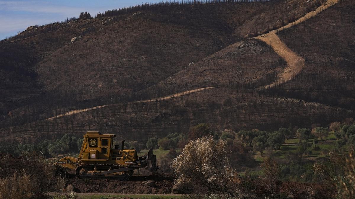 yeil vatan yangnlar fidan dikimi fotoraflar resimleri