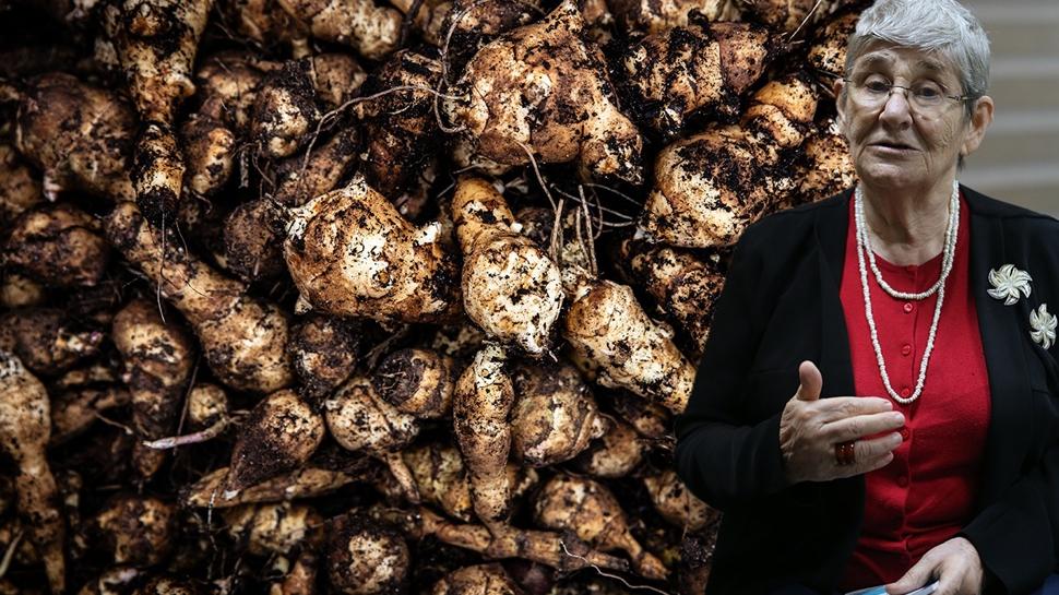 Canan Karatay'ın kasım sebzesi! Şekeri dengeliyor, kalbi güçlendiriyor