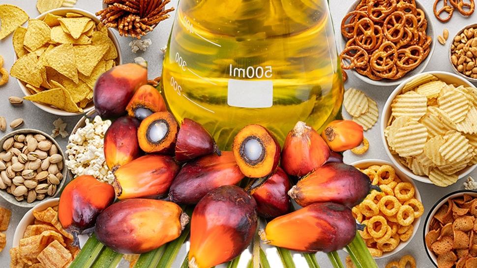 Cipste, krakerde, kekte... Market rafındaki zehir: Palm yağı! Meğer o hastalığı tetikliyormuş