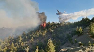Kahramanmara'ta orman yangn: Ekipler mdahale ediyor