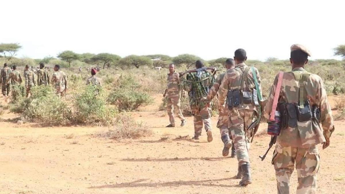 SNA operasyon  E-ebab liderleri  Gneybat Somalia fotoraflar resimleri