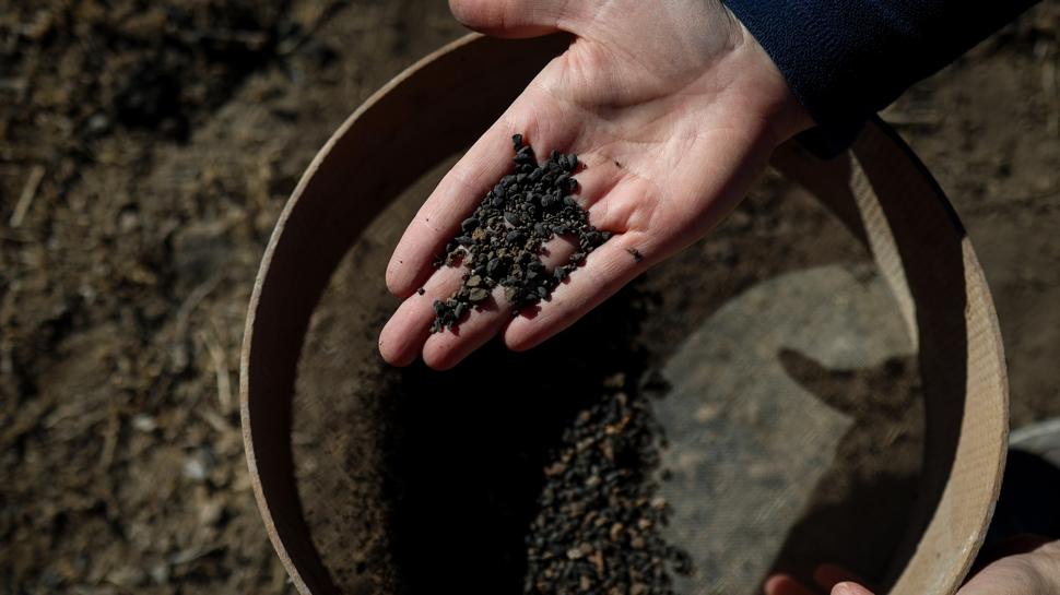 5 bin yıllık arpa taneleri bulundu