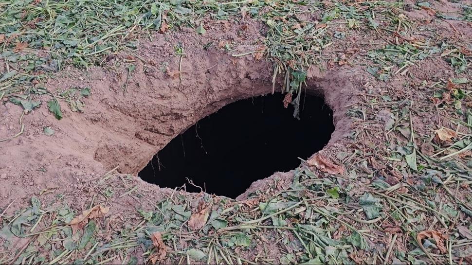 Aksaray'da pancar tarlasında korkutan görüntü