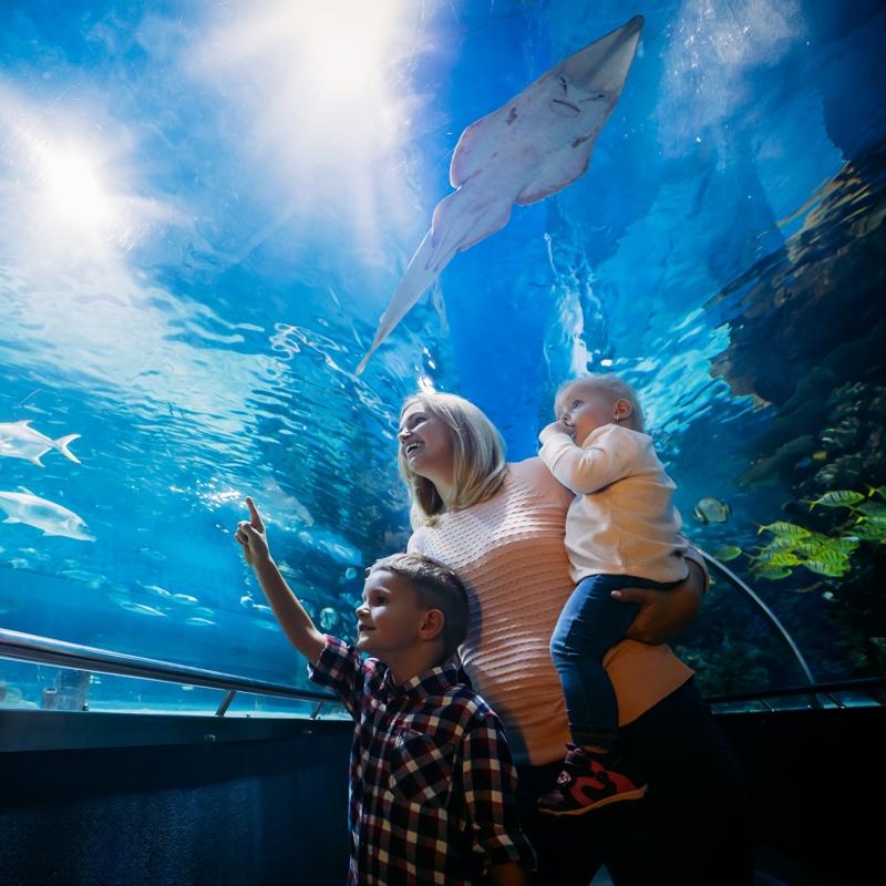 Ara tatilde stanbul'da ocukla gezilebilecek yerler listesi