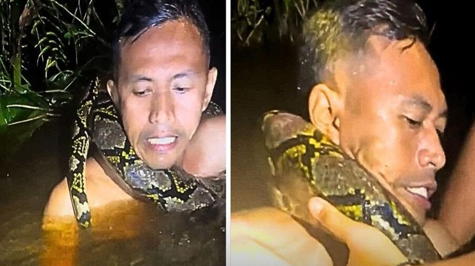 Dev piton rehbere saldırdı! Ölüm kalım mücadelesi kamerada