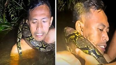 Dev piton rehbere saldrd! lm kalm mcadelesi kamerada