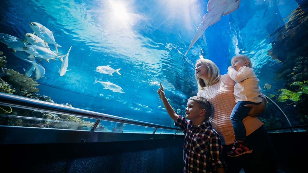 ara tatil istanbulda ocukla gezilebilecek yerler stanbul fotoraflar resimleri