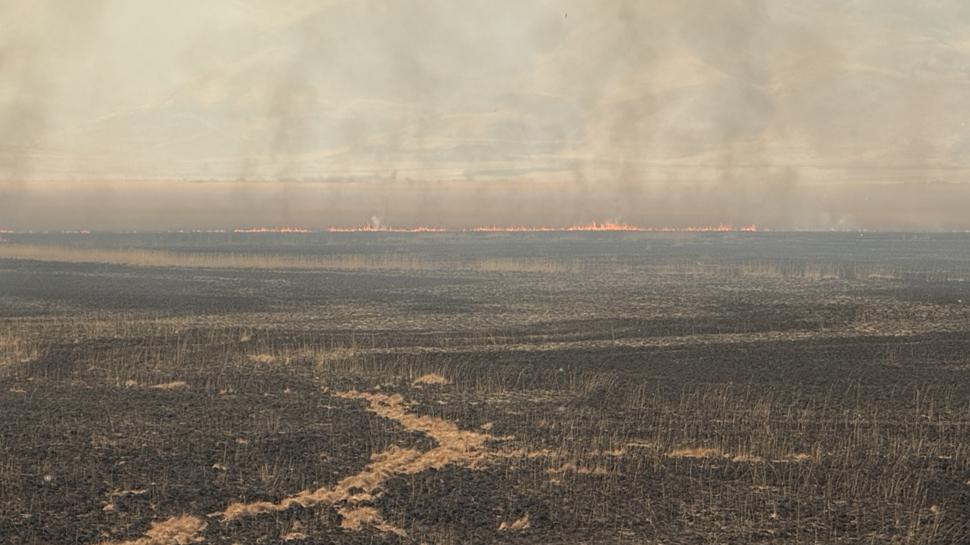 Hakkari'de doğal yaşam alanında yangın alarmı! Müdahale sürüyor