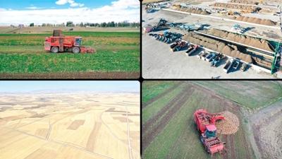 Devlet destek verdi rn eitlilii artt