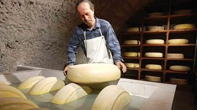 Kars Peynir M�zesi'ne yo�un ilgi: 11 ayda 82 bin ki�i gezdi