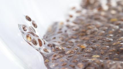 Diyetisyenler neriyor ama... Barsaklar iiren 3 tohum: Sindirimi arlatryor