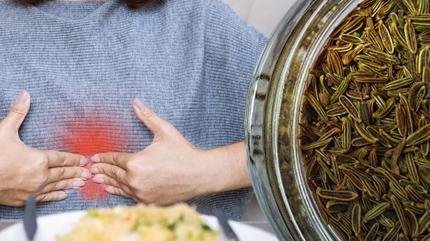 Yemekten sonra aznzda ineyin! ikinlik, gaz, kabzlk Barsak sorunlarna doal zm