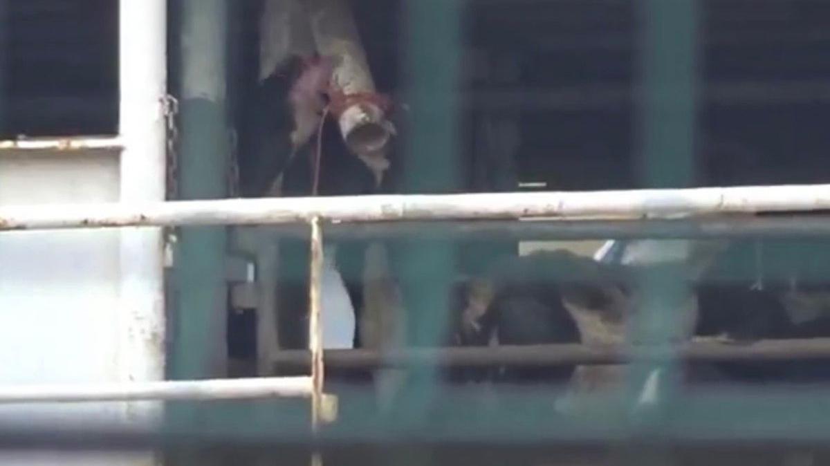 Spiridon-II gemi tedirginlik yaratt Balkesir Bandrma fotoraflar resimleri