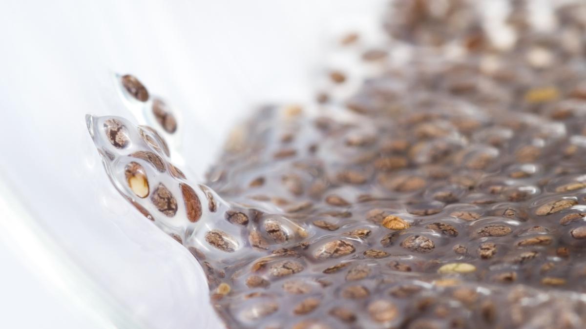 diyetisyen salk tohum fotoraflar resimleri