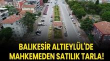 Balkesir Alteyll'de mahkemeden satlk tarla!
