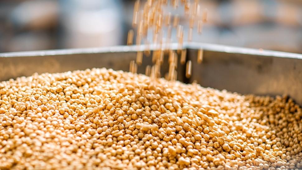 Gaz sıkışması ve kabızlığa neden oluyor! Faydalı diye yiyoruz ama bağırsakları tıkıyor