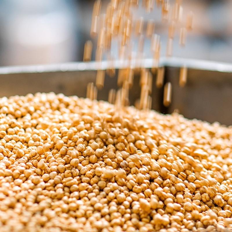 Gaz skmas ve kabzla neden oluyor! Faydal diye yiyoruz ama barsaklar tkyor