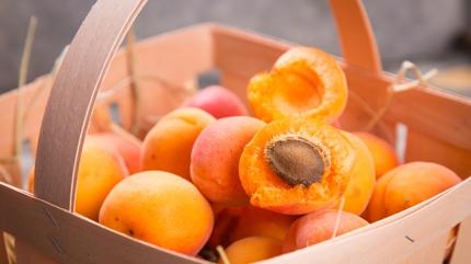 Kahvaltda a karnna 2 kays yemenin 5 faydas