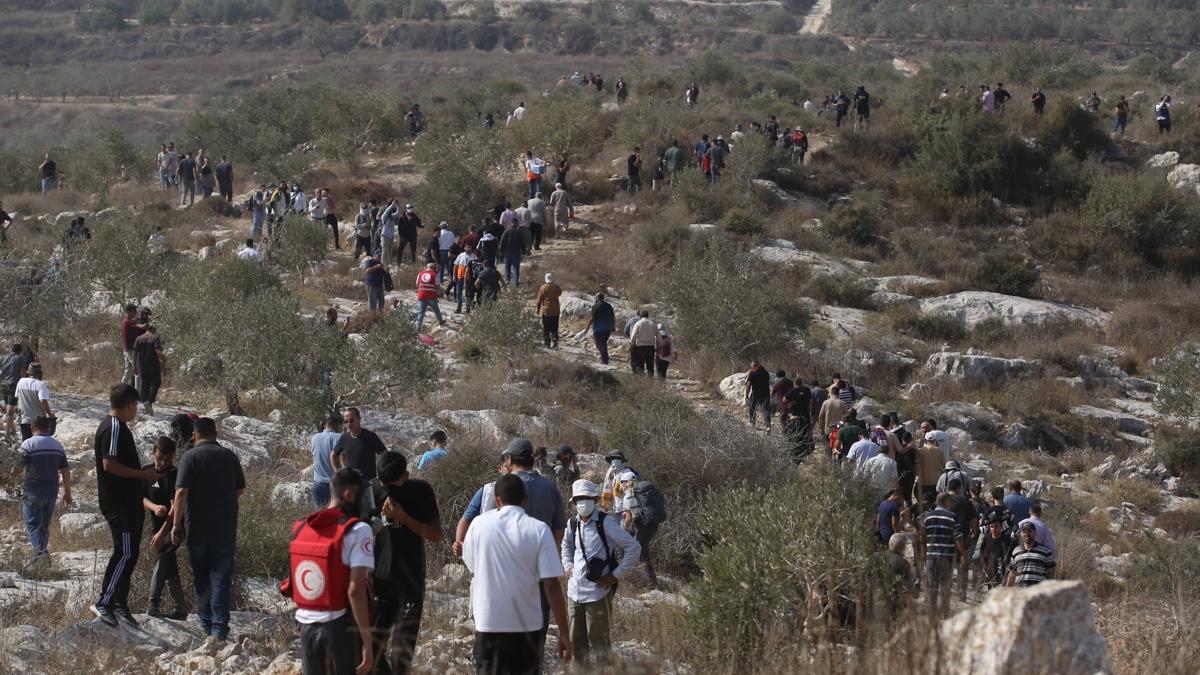 Bat eria Filistin srail fotoraflar resimleri