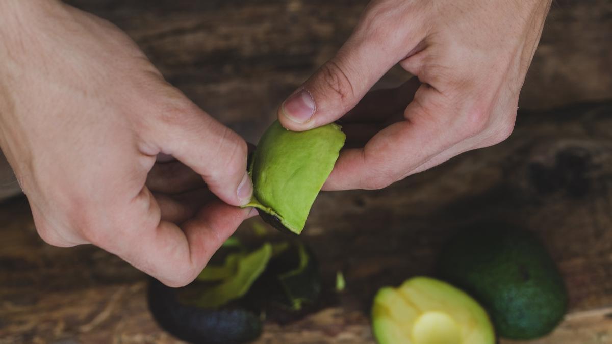 avokado salk bilim adam fotoraflar resimleri
