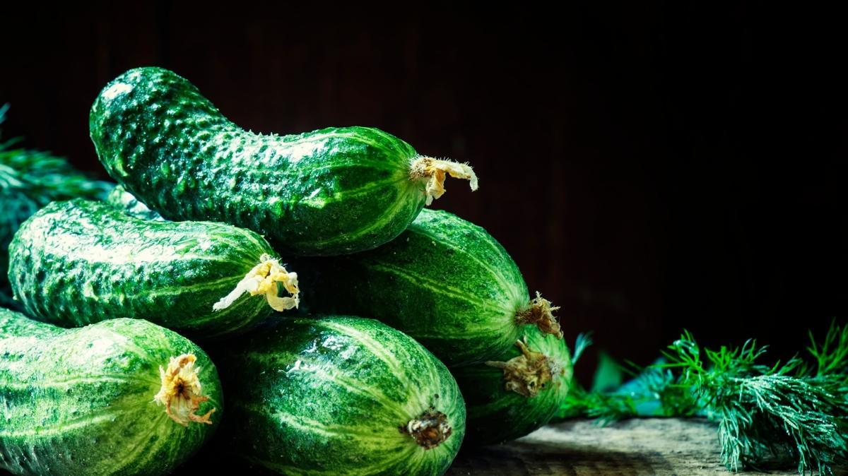 tansiyon damar salk fotoraflar resimleri